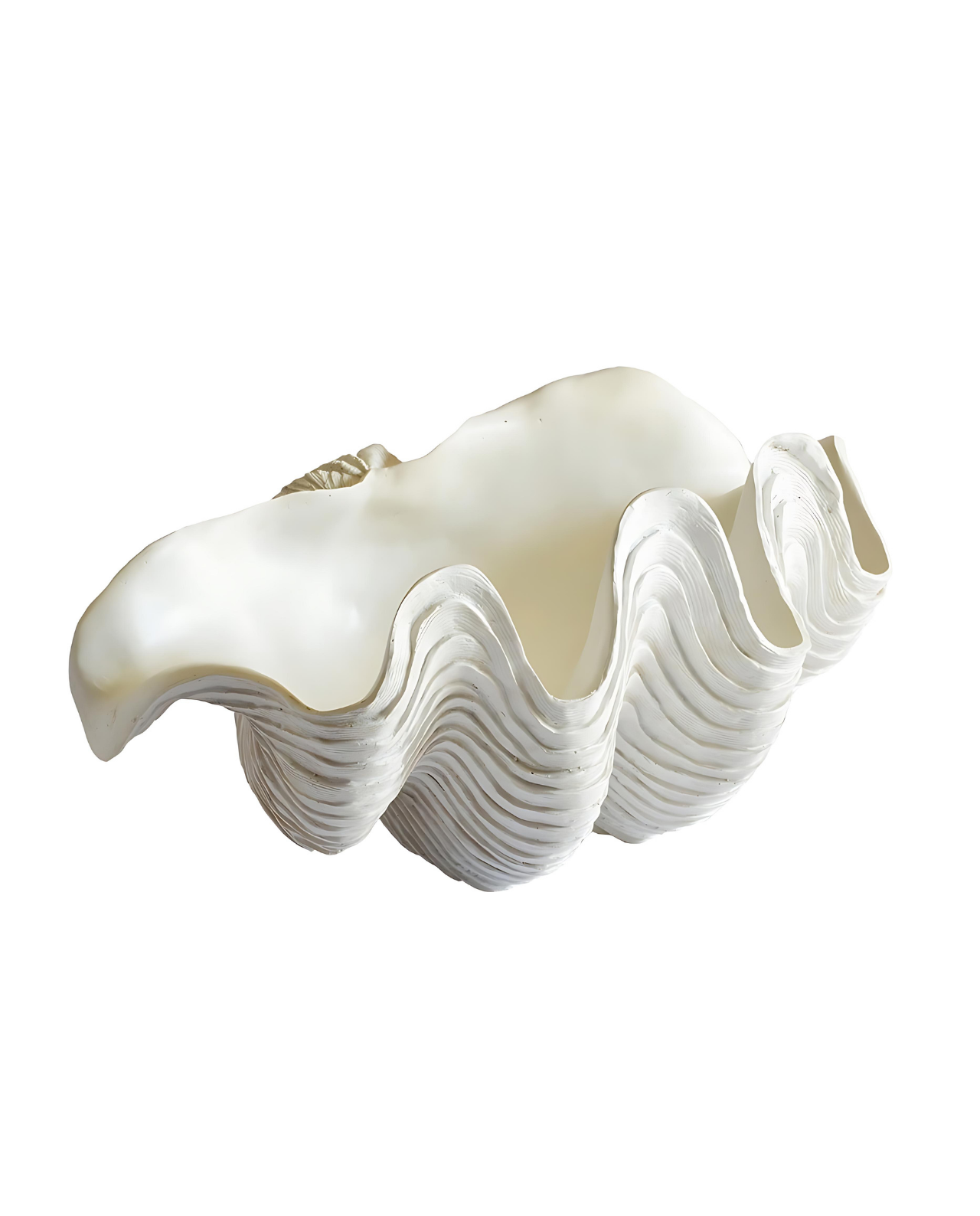 Elea clam shell